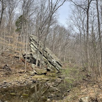 Ferne Clyffe State Park - Parks Near Me - Goreville, Illinois Ferne Clyffe State Park - Parks Near Me - Goreville, Illinois
