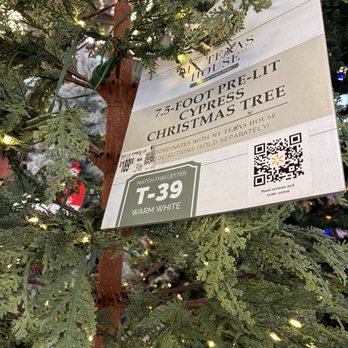 Walmart - Tree - Department Stores Near Me - Torrance, California