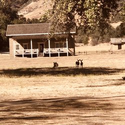 Fort Tejon State Historic Park - We saw a family of deer in the distance.