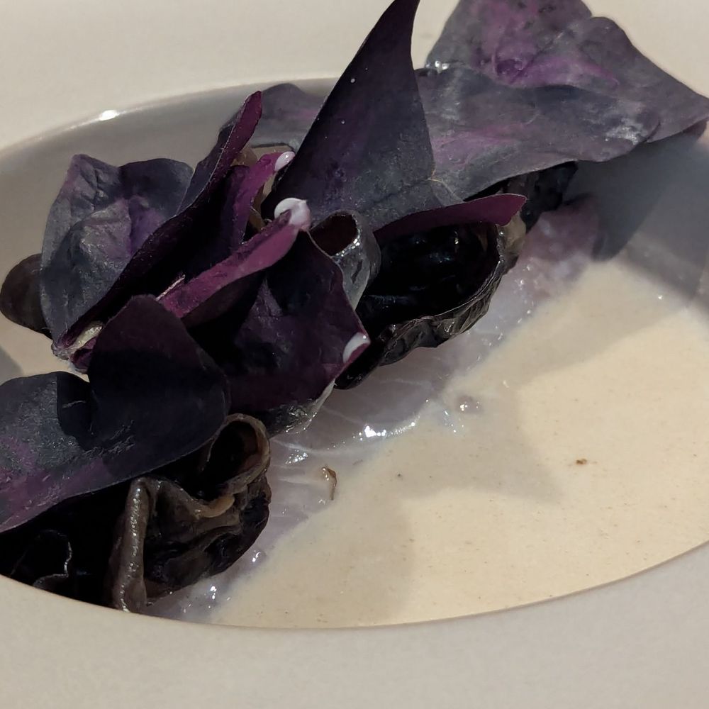Maison Sun - Hiramasa with wood ear mushrooms - French Near Me - Brooklyn , New York Maison Sun - Hiramasa with wood ear mushrooms - French Near Me - Brooklyn , New York