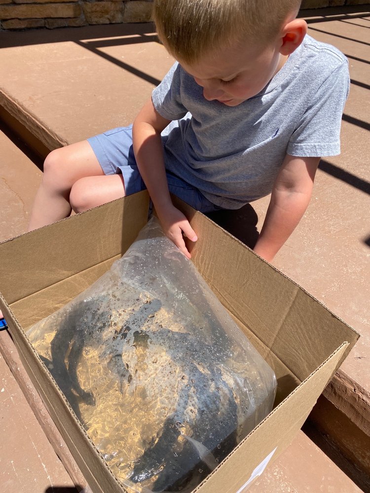 NORTHEASTERN AQUATICS Updated September 2024 1 Kerr Rd, Rhinebeck