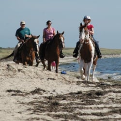 Saltwater Farm - Beach ride