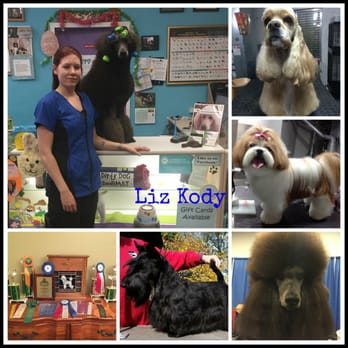 Pet Care with Auntie Liz - Auntie Liz, and some of her nieces and nephews! - Pet Sitting Near Me - Bartlett, Illinois Pet Care with Auntie Liz - Auntie Liz, and some of her nieces and nephews! - Pet Sitting Near Me - Bartlett, Illinois