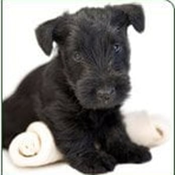 PetSmart - Pet Stores Near Me - Skokie, Illinois