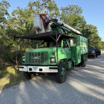 Gold Palm Solutions - Tree Services Near Me - Palmetto, Florida Gold Palm Solutions - Tree Services Near Me - Palmetto, Florida