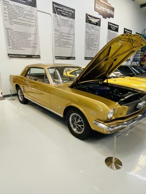 Mustang Owner's Museum by null