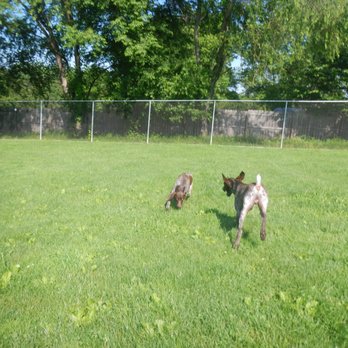 Airy Pines Boarding Kennel - This is another yard where medium and large dogs play. - Pet Boarding Near Me - Pittsburgh, Pennsylvania Airy Pines Boarding Kennel - This is another yard where medium and large dogs play. - Pet Boarding Near Me - Pittsburgh, Pennsylvania