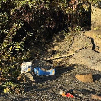 Wildhaven - Full box of Model beer bottles around the river - Campgrounds Near Me - Healdsburg, California