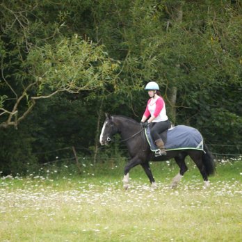Clack Mill Riding Stables - Sammy - Horseback Riding Near Me - Bristol, BST