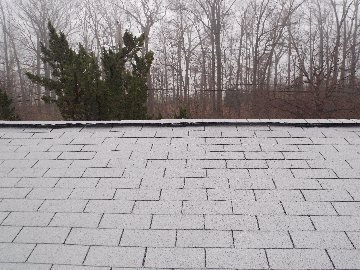 Slide of Services Squad