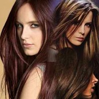 Ck Designs - Hair Stylists Near Me - Tarpon Springs, Florida Ck Designs - Hair Stylists Near Me - Tarpon Springs, Florida
