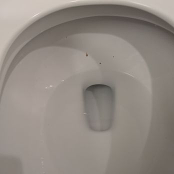 Hampton Inn Morristown, I-81 - Uncleaned toilet - Hotels Near Me - Morristown, Tennessee Hampton Inn Morristown, I-81 - Uncleaned toilet - Hotels Near Me - Morristown, Tennessee