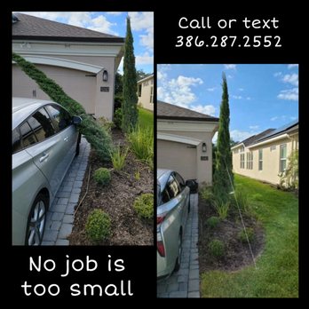 Noe Trees - No job is too small - Tree Services Near Me
