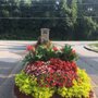 Photo of South Side Lawns & Services