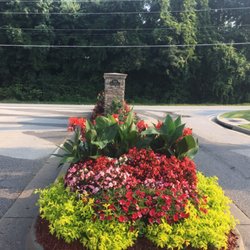 South Side Lawns & Services - Summer Annuals
