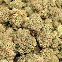 Medical Marijuana