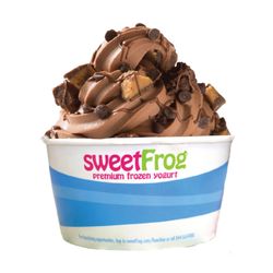 sweetFrog Premium Frozen Yogurt