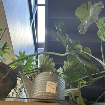 Brooklyn Ball Factory - Coffee & Tea Near Me - Brooklyn, New York