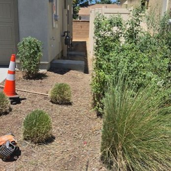 Gomez Lawn and Tree Service - After - Tree Services Near Me - Jurupa Valley, California Gomez Lawn and Tree Service - After - Tree Services Near Me - Jurupa Valley, California