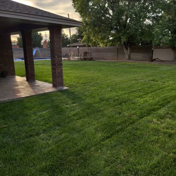 Premier Vista Landscape Design Pros - A lawn we helped restore in Clovis - Tree Services Near Me Premier Vista Landscape Design Pros - A lawn we helped restore in Clovis - Tree Services Near Me