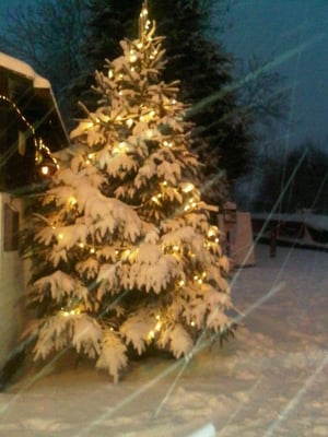 The Globe Inn by null