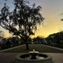 Photo of hippo drome park