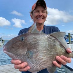 Triggerfish are a nice mix in the fishing.