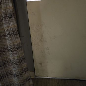 Stayable Jacksonville West - Behind the door was full dog prints and smelled like cat and dog pee - Hotels Near Me - Jacksonville, Florida