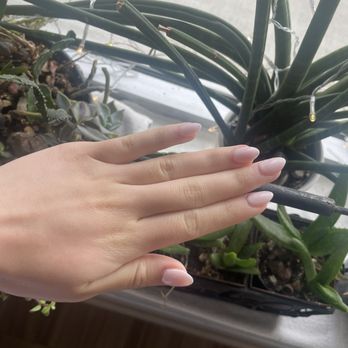 Ritual Pedispa - Nail Salons Near Me - Houston, Texas Ritual Pedispa - Nail Salons Near Me - Houston, Texas