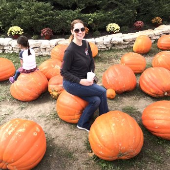 Stuckey Farm Orchard and Cider Mill - Farmers Market Near Me - Sheridan, Indiana