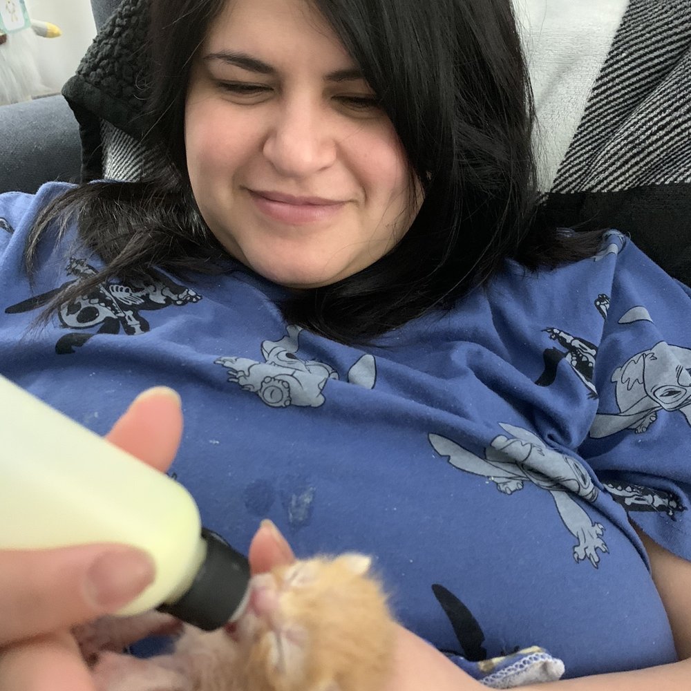 Pet Supermarket - Bottle feeding a baby kitten - Pet Groomers Near Me - Greenville, South Carolina Pet Supermarket - Bottle feeding a baby kitten - Pet Groomers Near Me - Greenville, South Carolina
