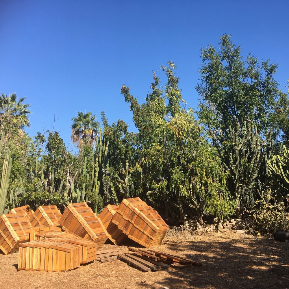 Best Fruit Tree Nursery in Vista, CA Last Updated September 2021 Yelp