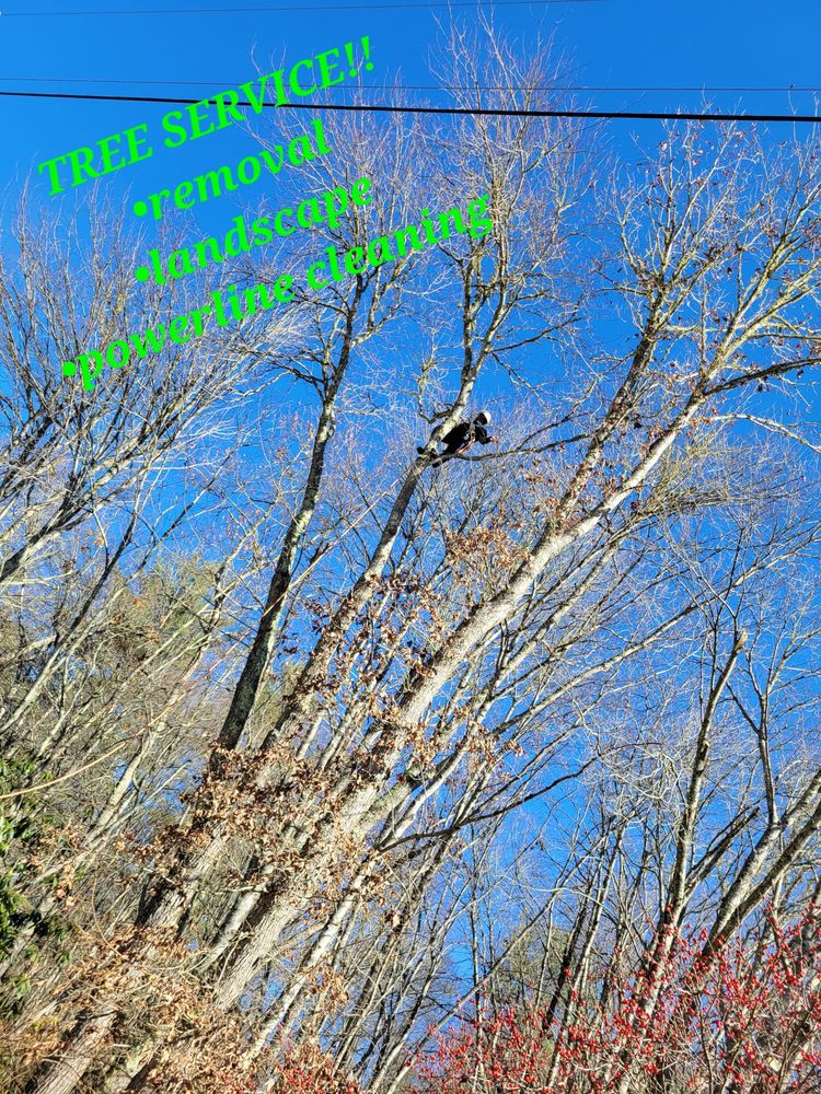 MARCANEX Updated June 2024 Request a Quote Miramar, Florida