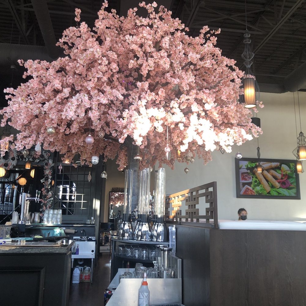 XO Bistro - Pretty tree decor - Vietnamese Near Me - Edmonton, Alberta XO Bistro - Pretty tree decor - Vietnamese Near Me - Edmonton, Alberta