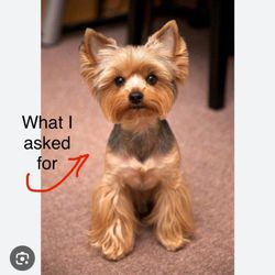 Petco - The trim I asked for and DID NOT GET