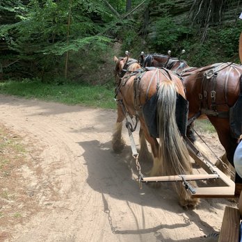 Lost Canyon Tours - The horses pulling us - Amusement Parks Near Me - Wisconsin Dells, Wisconsin