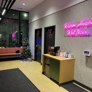 GoodVets Uptown - Chicago - Lobby with free drinks and treats - Veterinarians Near Me - Chicago, Illinois GoodVets Uptown - Chicago - Lobby with free drinks and treats - Veterinarians Near Me - Chicago, Illinois