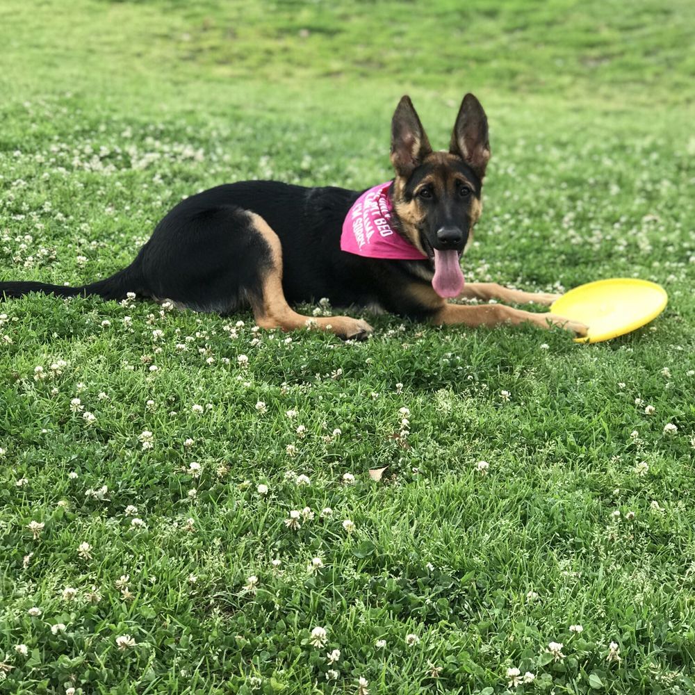 Kroll Park - Loves her frisbee - Playgrounds Near Me - Bakersfield, California Kroll Park - Loves her frisbee - Playgrounds Near Me - Bakersfield, California