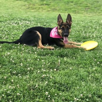 Kroll Park - Loves her frisbee - Playgrounds Near Me - Bakersfield, California