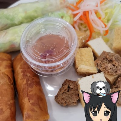 Veggie Garden by null