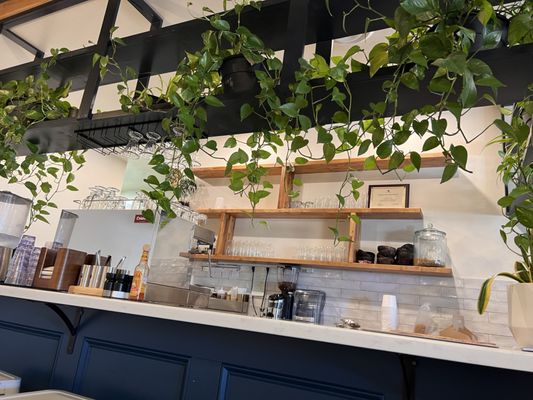 Earth Plant Based Cuisine by null