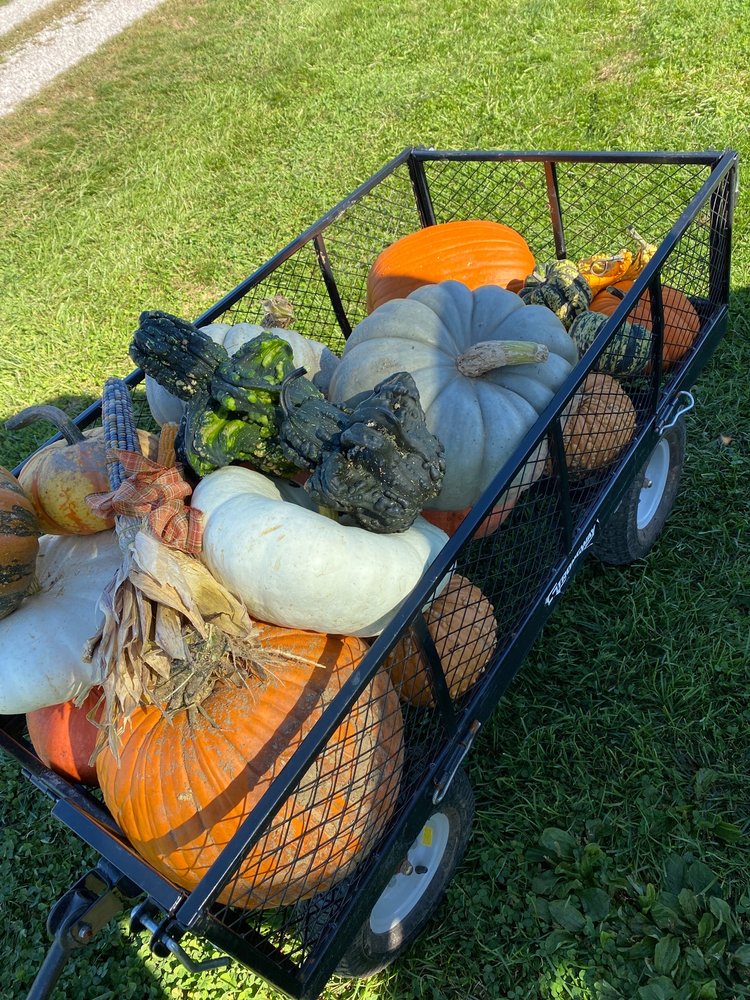 PUMPKIN BLOSSOM HILL Updated October 2024 5483 State Route 154, Red