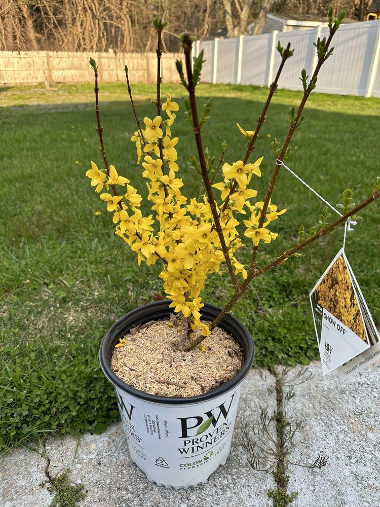 LOWE’S HOME IMPROVEMENT Updated September 2024 16 Photos & 38