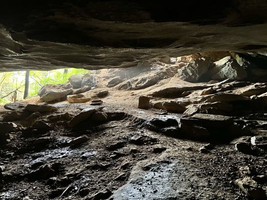 Natural Bridge State Park by null
