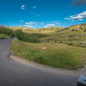 Lamar Valley - Hiking Near Me - Yellowstone National Park, Wyoming