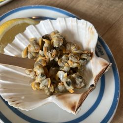 The Cods Scallops - Cockles