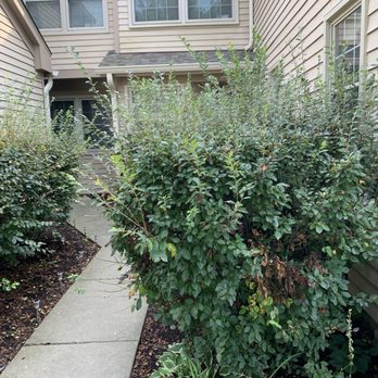 Associa Chicagoland - Property Management Near Me - Schaumburg, Illinois