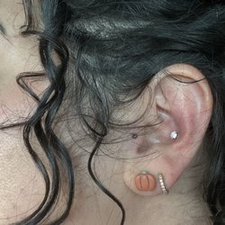 Mile High Tattoo - Isla is the best! Quick easy conch and swapped old suck on tragus!