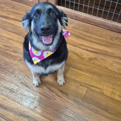 Jolly Ranch Pet Resort - NaMii's Day out!