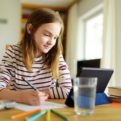 Tutor Corps